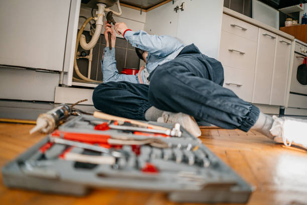Best Residential Plumbing Services  in Roaming Shores, OH