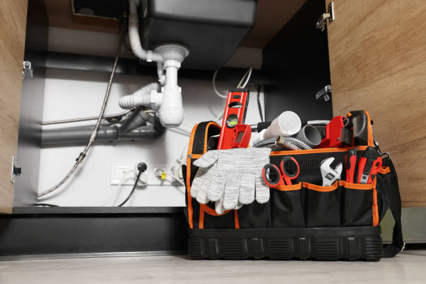 Best Affordable Plumber Near Me  in Roaming Shores, OH