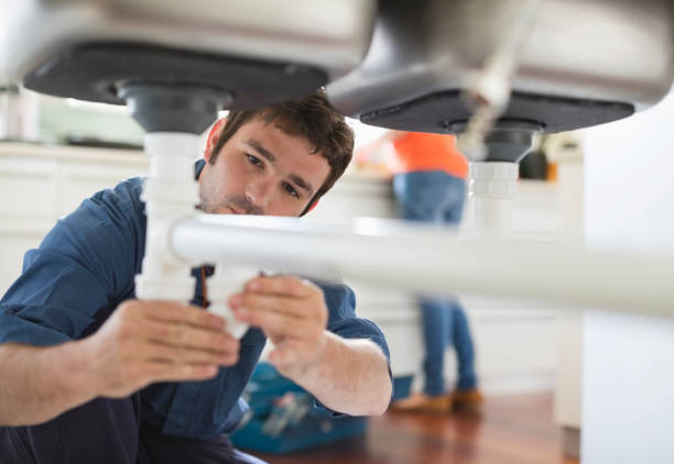 Best Clogged Drain Plumber  in Roaming Shores, OH